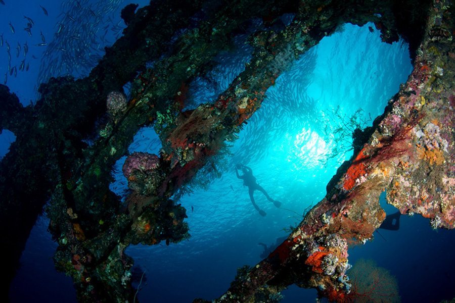 巴厘岛潜水自由号沉船